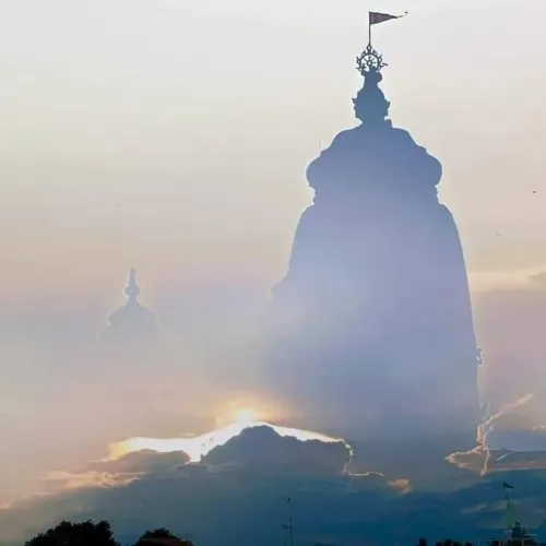 WhatsApp Image 2025-12-11 at 11.20.27 AM