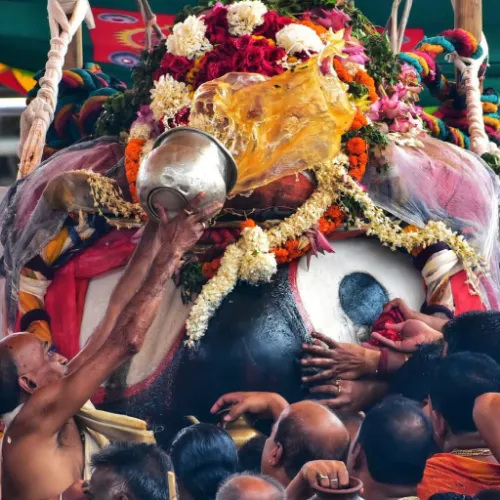 WhatsApp Image 2025-12-11 at 11.20.29 AM